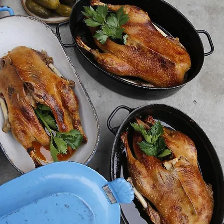 Oberza Zlota Ges Inn Siewierz