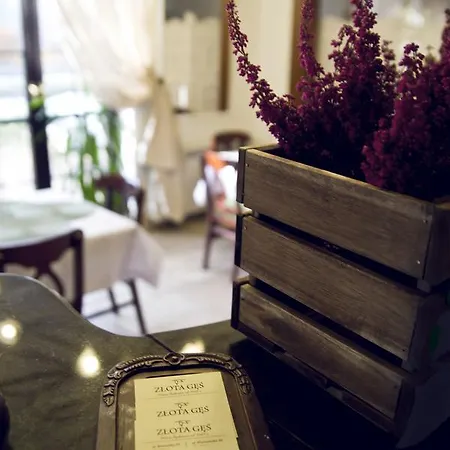 Inn Oberza Zlota Ges