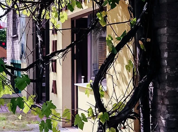 Πανδοχείο Oberza Zlota Ges